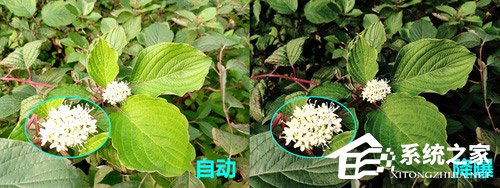 Nokia X5怎么样?诺基亚X5体验评测