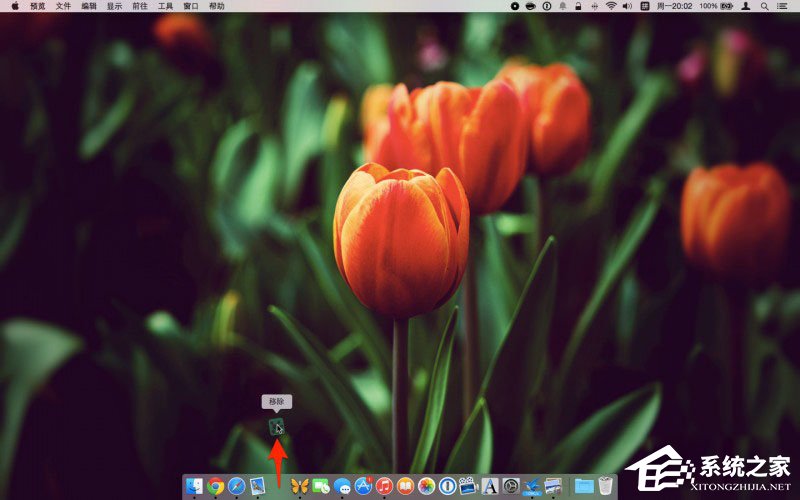 Dock栏怎么用?Mac Dock栏的使用教程