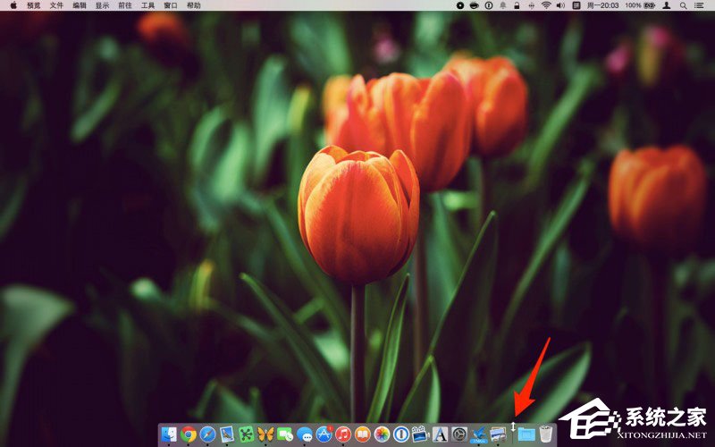 Dock栏怎么用?Mac Dock栏的使用教程