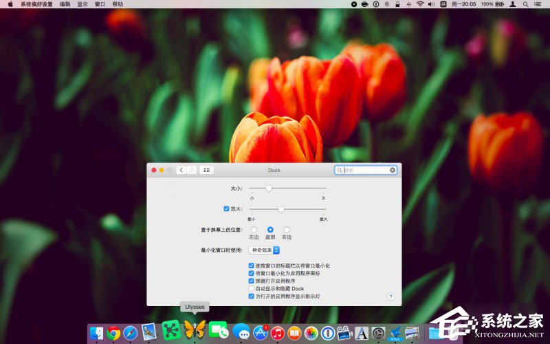 Dock栏怎么用?Mac Dock栏的使用教程