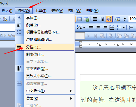 wps一分为二中间为竖虚线怎么弄?