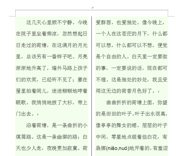 wps一分为二中间为竖虚线怎么弄?