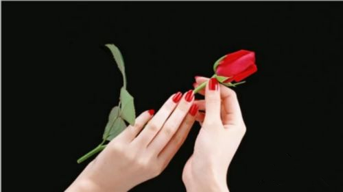 如何使用PS去更换背景颜色?