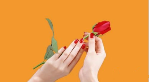 如何使用PS去更换背景颜色?