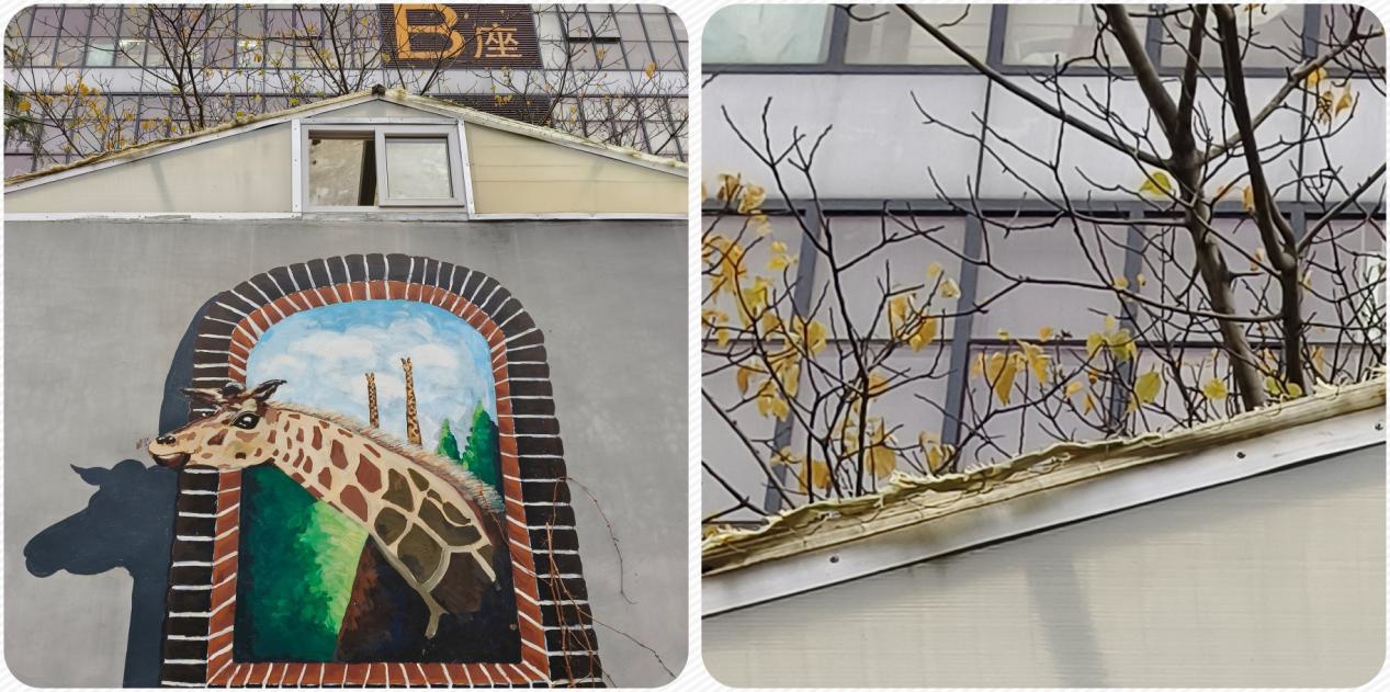 【系统之家评测室】iQOO Neo 7 SE 上手