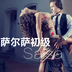 萨尔萨初级 v1.0001