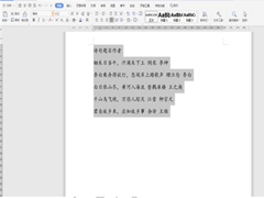 如何快速对齐Word中长短文字？