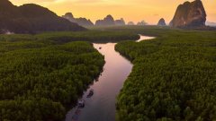 微软发布《世界河流》4K 壁纸包，Win10用户免费领