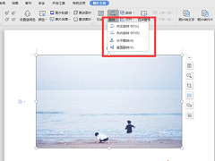 WPS如何利用Word绘图？WPS利用Word绘图的具体步骤