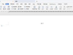 WPS如何添加自定义字典？
