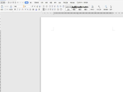 Word文档中如何在任意地方输入文字？