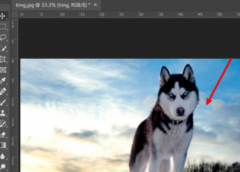 Ps如何局部填充？Ps局部填充的方法