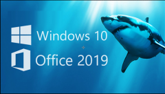 Windows11 Office2019等激活密钥分享 Windows11 Office2019激活密钥大全