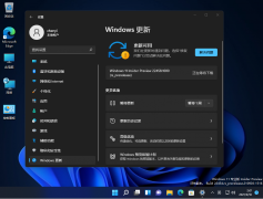 微软Win11 22458.1000最新Dev版发布！(附更新日志和下载地址)