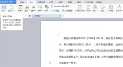 Wps文档显示分页符在哪里设置？