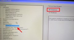 DELL笔记本怎么进入bios设置u盘启动？