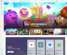 Win11系统应用商店还是Win10的应用商店怎么办？