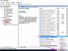 Win10更新错误代码0x800f081f怎么办？详细的方法教你解决