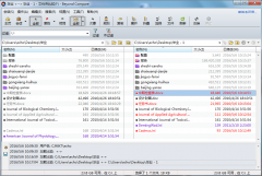 Beyond compare怎么导出比较结果