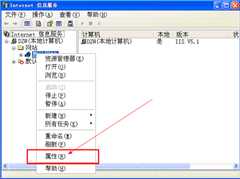 inetinfo.exe是什么进程？inetinfo.exe是病毒吗？