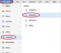 wps文档怎么设置密码保护？
