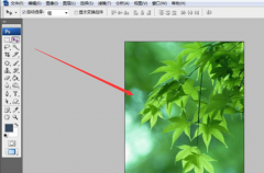 PS如何设置图片参数？PS设置图片参数的方法