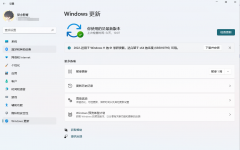 微软最新Win11 KB5010795(22000.438)补丁发布！(更新日志及下载地址)