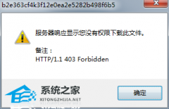 idm无法下载此文件403？idm怎么下载百度云文件显示错误1.1.403？