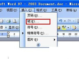 Word文档分数怎么打？Word文档输入分子分母的方法