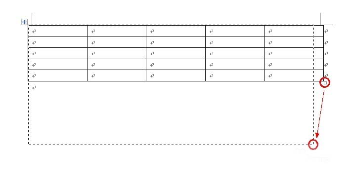 Word怎么调整表格大小？Word调整表格大小的四种方法