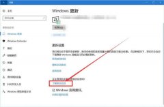 如何在Win10纯净版上检查Windows更新历史记录？