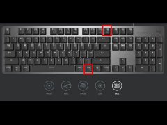 罗技键盘怎么调灯光？罗技k845切换灯光的方法