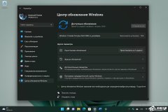 微软最新Windows 11 Insider Preview 25231.1000 (rs_prerelease)预览版来啦！