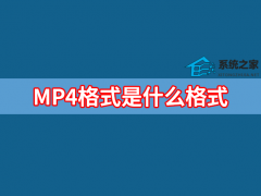 MP4格式是什么?MP4格式是什么格式