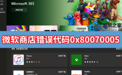 微软应用商店错误代码0x80070005怎么办？