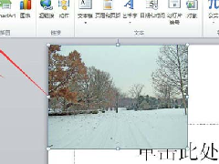 PPT图片逐步显示的效果如何制作教学