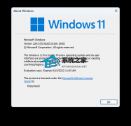 微软最新Windows 11 Insider Preview 25169.1000 (rs_prerelease)预览版来啦！
