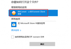 比特彗星怎么下载东西？如何用比特彗星下载种子？