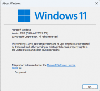 微软Win11 22623.730版本推送了！(附启用方法)