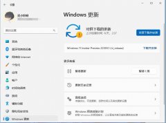 微软Win11 Dev/Beta预览版22593.1(ni_release)发布！新功能一览！