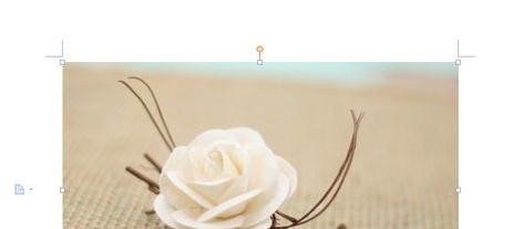 WPS文档怎么进行图片大小调整教学