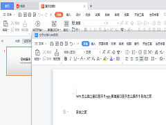 WPS怎么独立窗口显示？wps单独窗口显示怎么操作？