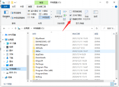 Win10如何打开隐藏文件夹？Win10打开隐藏文件夹的方法