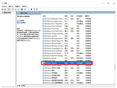 Win10如何不让电脑自动更新？怎样不让Win10系统自动更新？