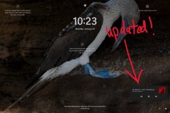 微软Win11 Dev 22543.1000预览版发布：修复任务管理Bug