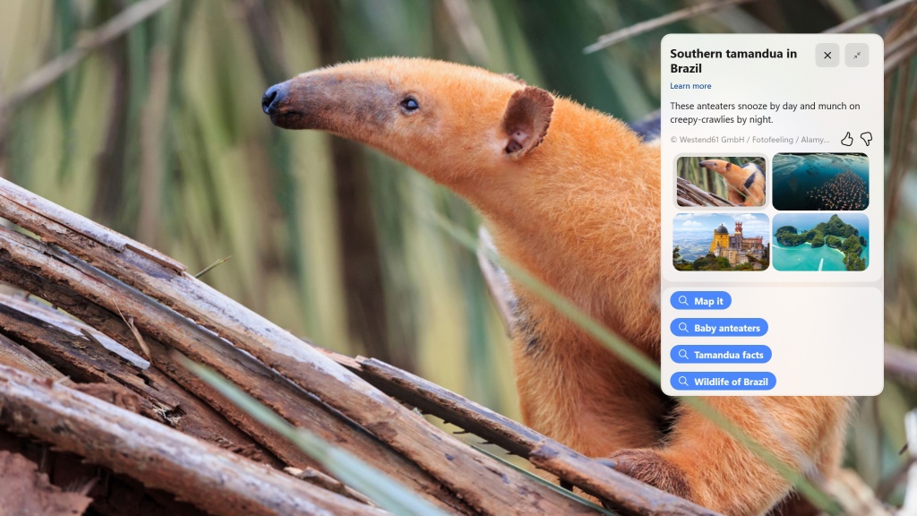 微软 Win11 Dev 预览版 Build 25281 更新，附更新日志和下载地址！