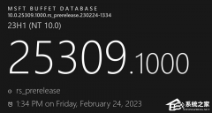Windows11 Insider Preview Build 25309.1000(rs_prerelease)三月补丁发布！（附更新日志）